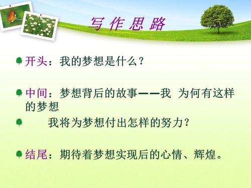 梦想新车组成