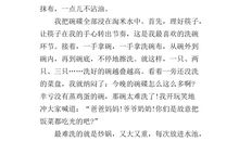 做家务的作文500字