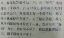 我的经历作文