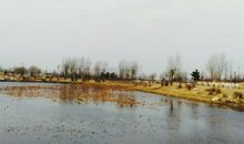 美丽铁岭读后感