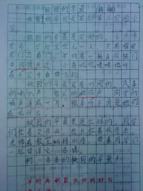 我心中的校园构成