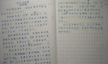 描写秋天果园的作文