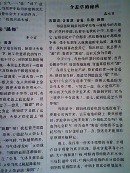 600字关于诚信