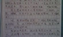 来自大自然的启示作文