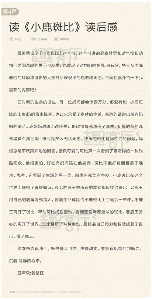 聪明的鹿组成