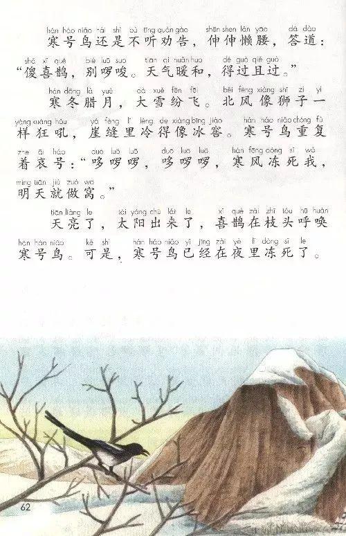 看完冷鸟之后