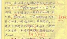 胆小的我作文500字