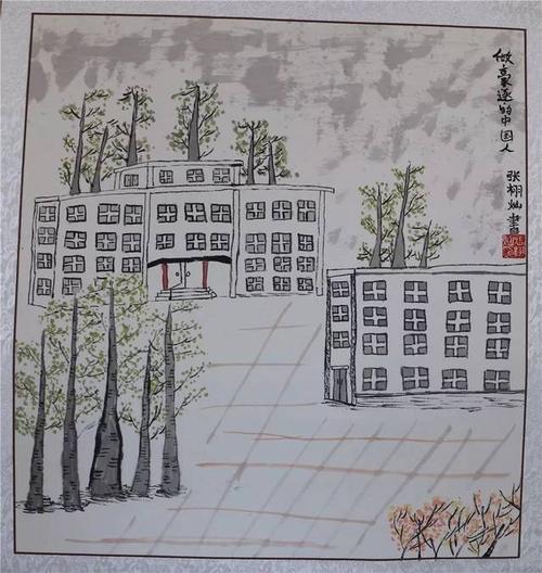 我眼中的校园