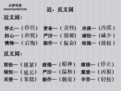 阅读后400字