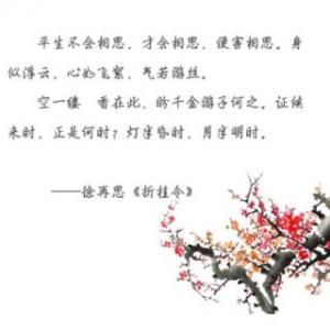 经典语录：如果您担心黑暗，请打开灯，如果错过，请联系