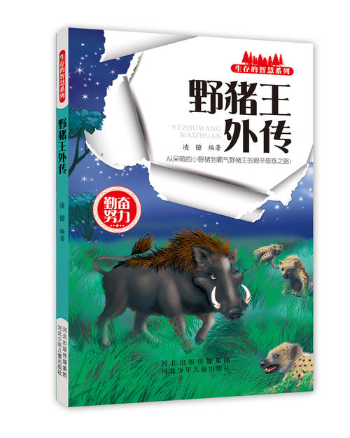 看完野猪王