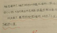 秋天的校园作文