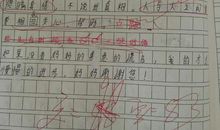 写善意的谎言的作文