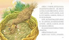 梅里山鹰读后感