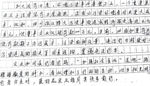 承担责任