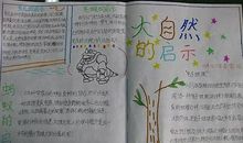 小学生作文大自然的启示