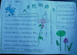 对自然的启示