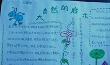 关于大自然的启示