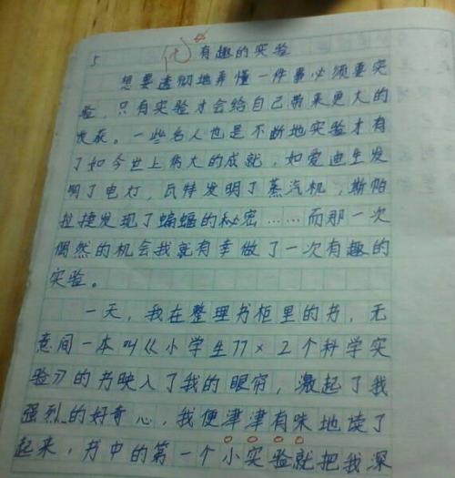 我爱我的家庭作文