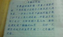 我爱我家的作文