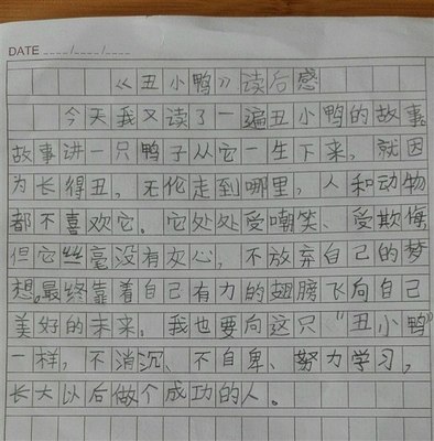 关于小学日记的思考