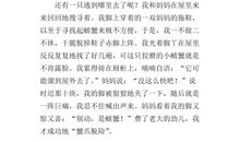 捉迷藏作文400字