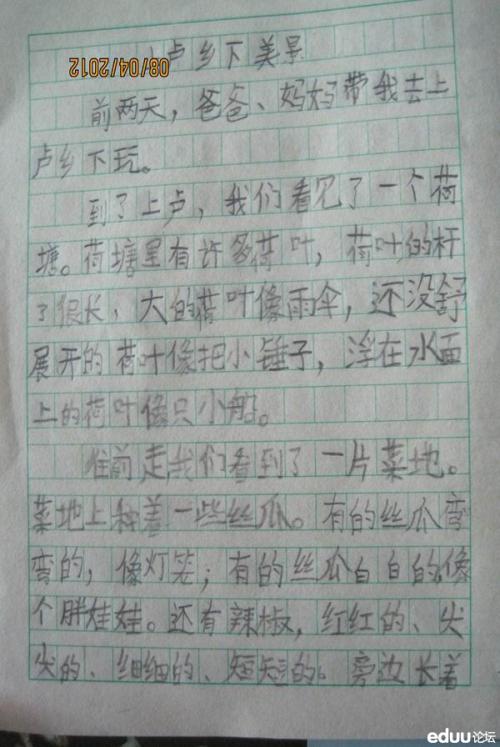 我心中的美丽