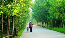 作文幸福的瞬间