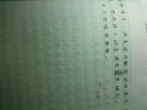 祖国在我心中写下500个字