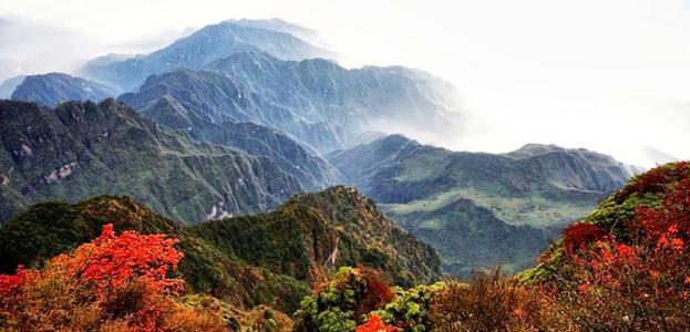 峨眉山之旅