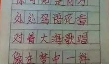 初中作文我有一个梦想