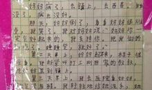 关于感动的作文450字