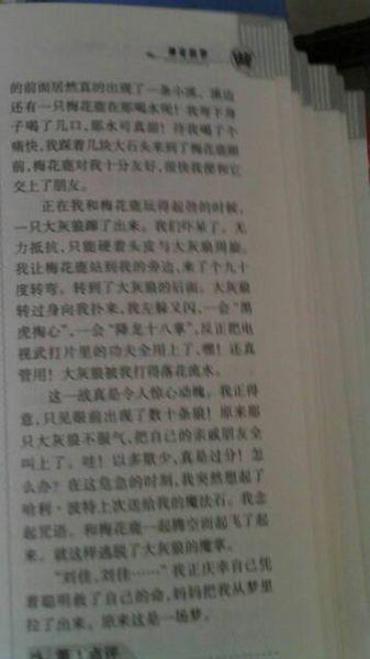美丽在其中