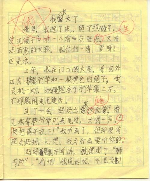 那时我长大了，写了800个字
