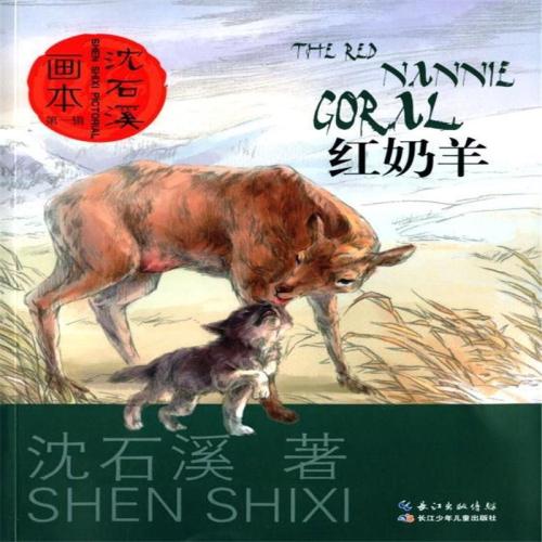 阅读后的红奶羊