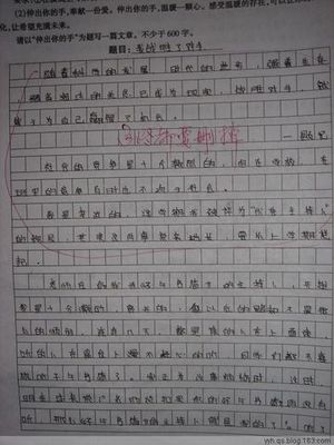 初中600字