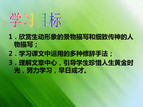 三个枸杞豆
