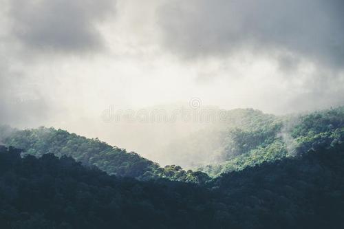 看完山雨之后