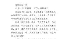 写植物的作文600字