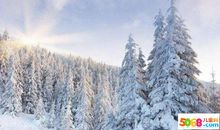 冬天的景色作文400字