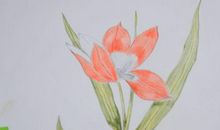 非常任务读后感