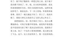 成功的喜悦作文