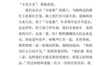 买年货作文600字