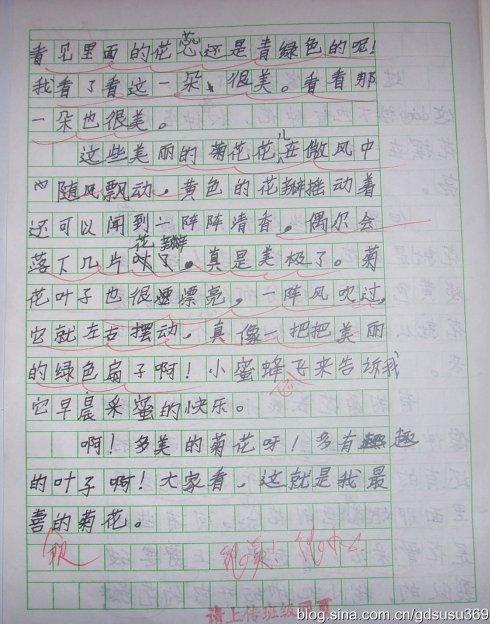 景观组成