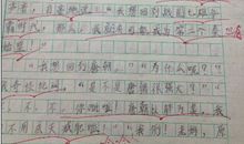 以元旦为话题的作文