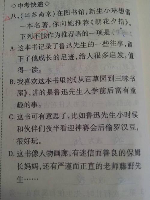 初中生活的组成