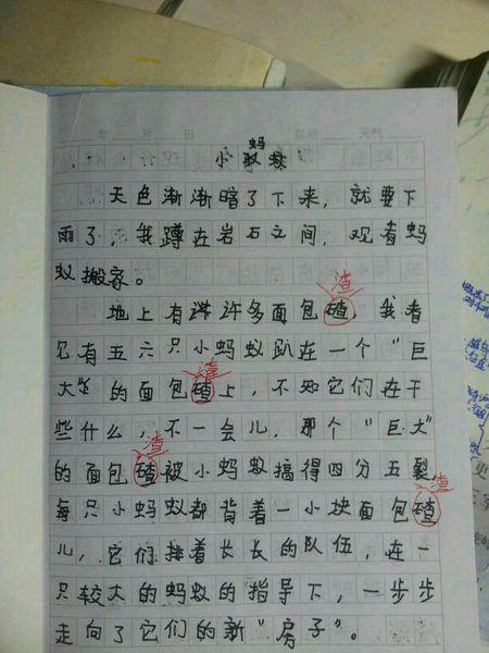 最美的瞬间组成500字