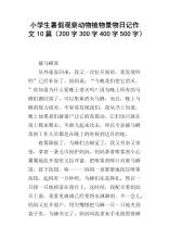 200字写风景构图