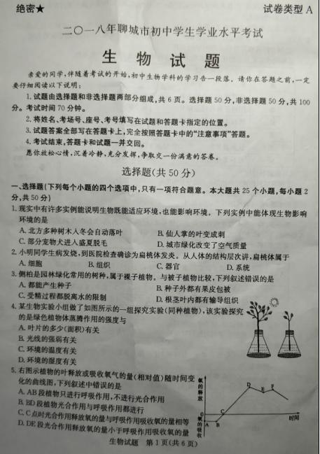 2018山东聊城高中入学考试全场作文：看花（4）