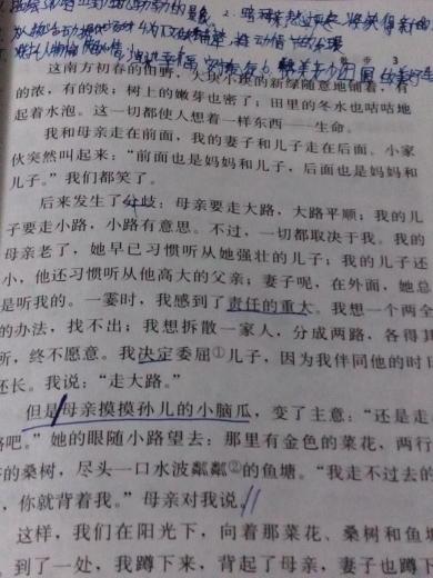 阅读一年级课文后散步